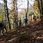 passeggiata nei boschi in gruppo