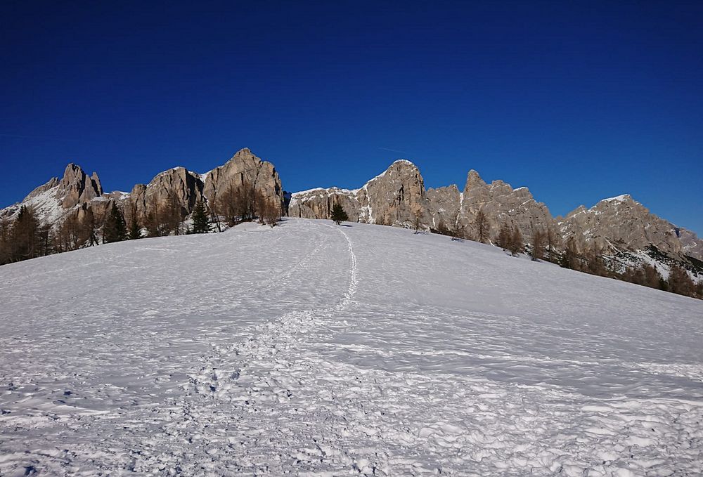 Passeggiata nel bianco