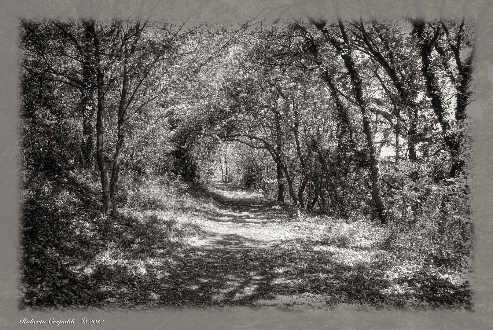 Passeggiata nel bosco