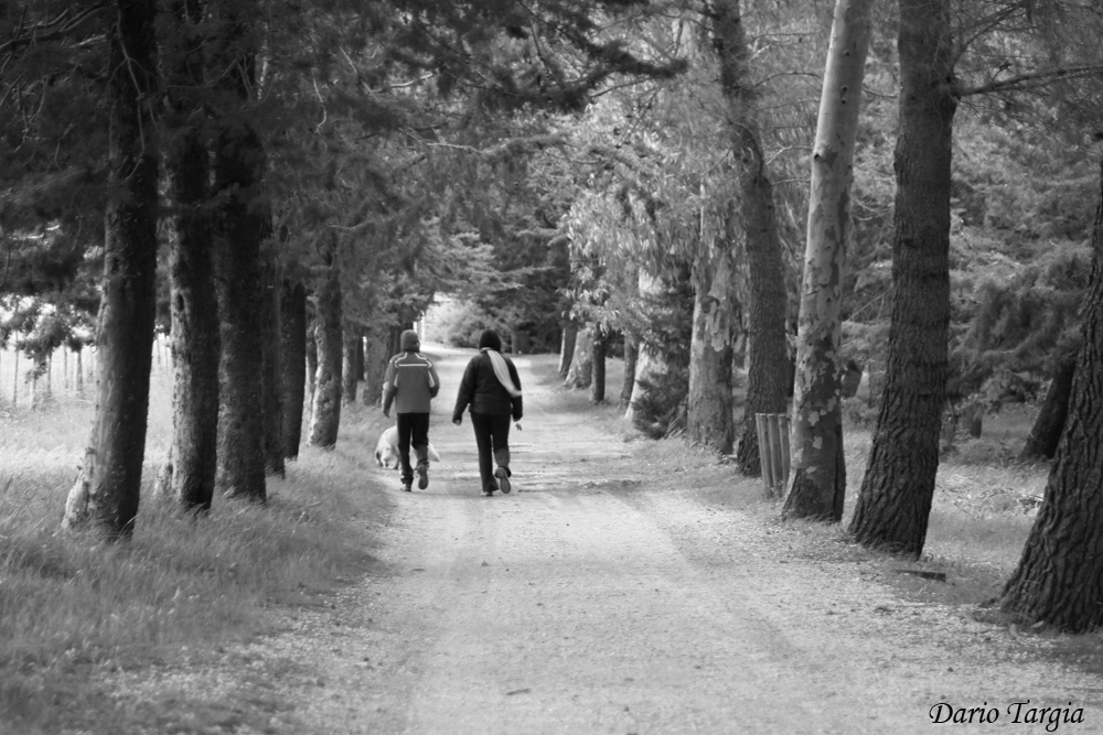 Passeggiata nel Bosco