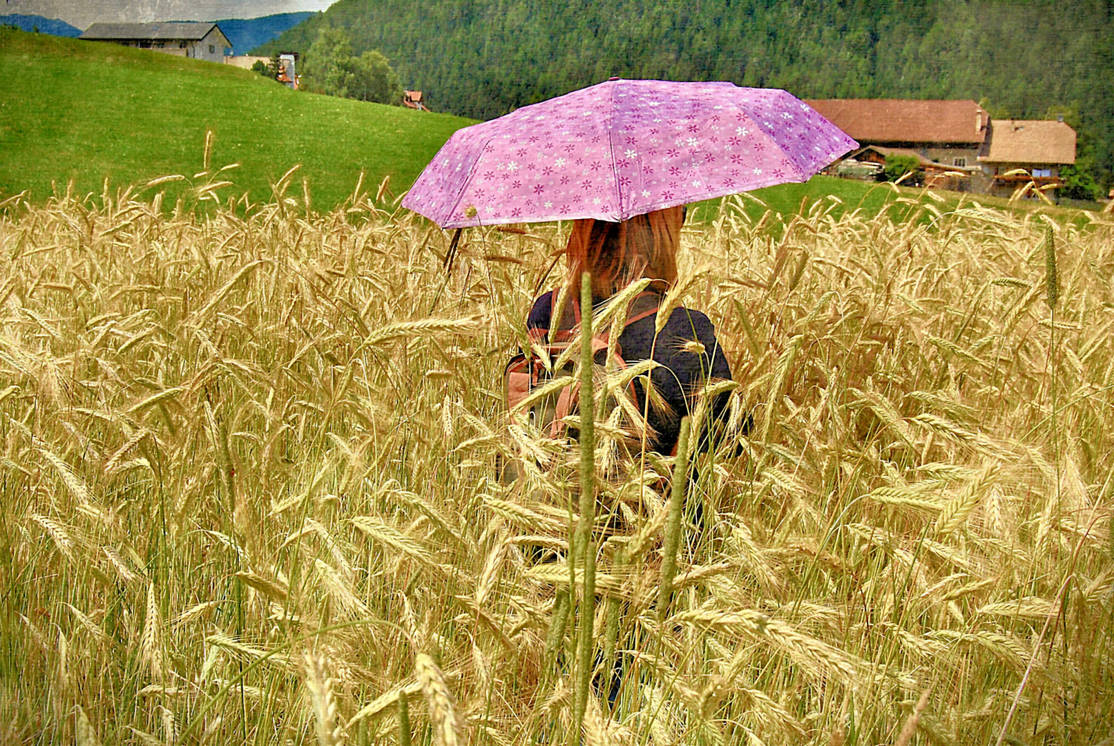 Passeggiata nel grano