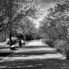 Passeggiata nel parco