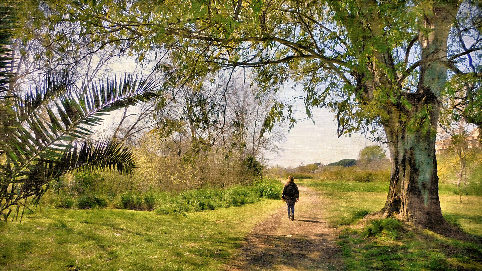 Passeggiata nel parco