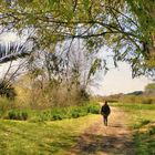 Passeggiata nel parco