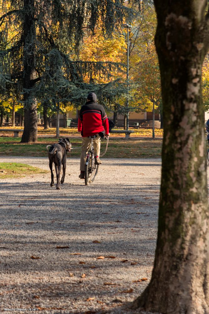 Passeggiata nel parco