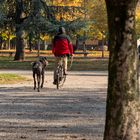 Passeggiata nel parco