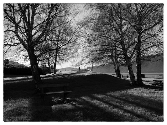 Passeggiata nel parco