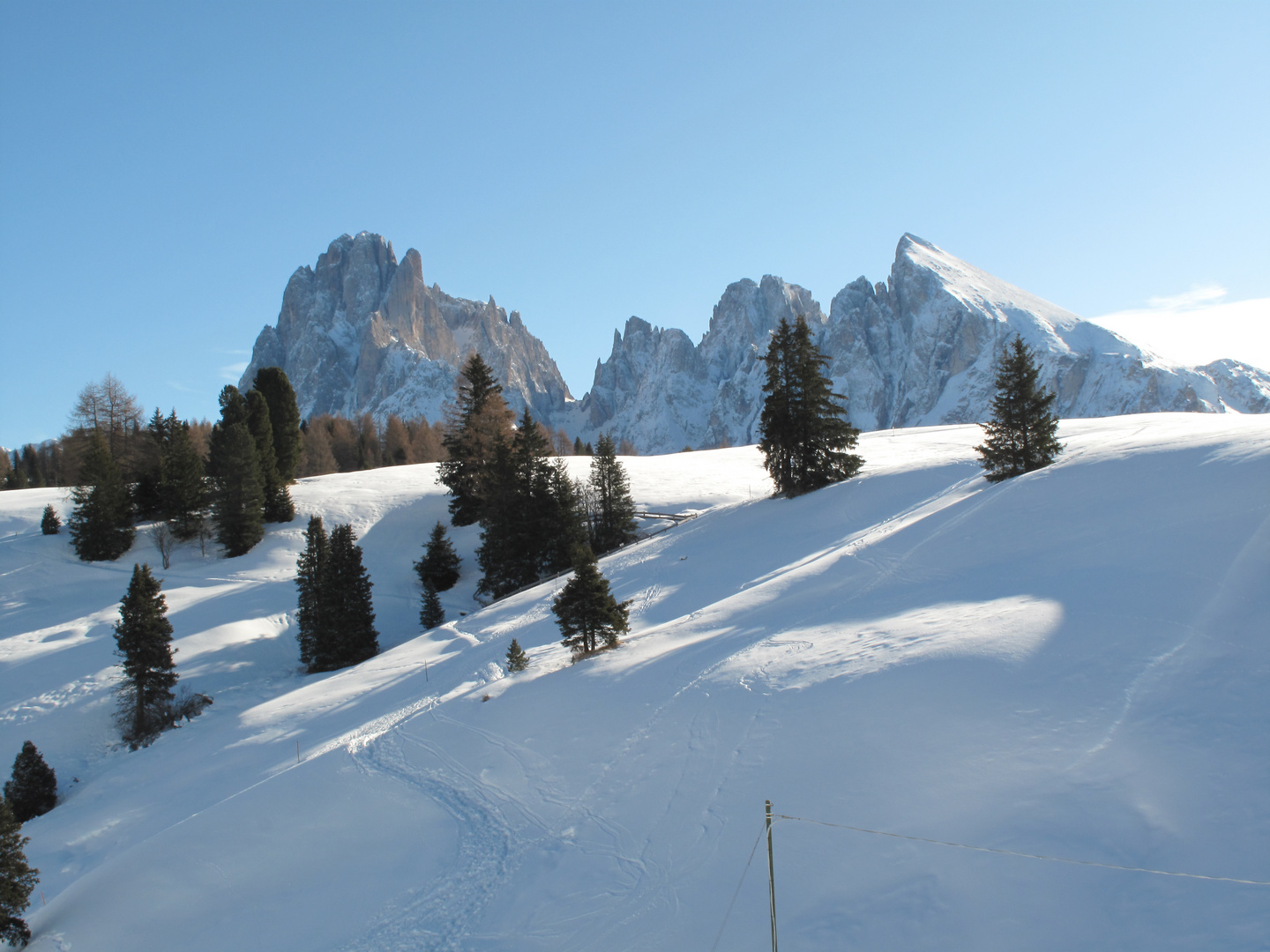 Passeggiata nella neve!