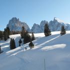 Passeggiata nella neve!