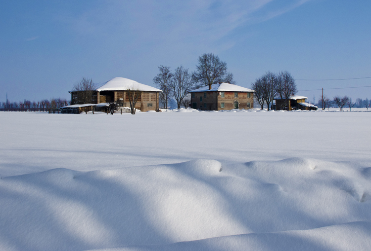 PASSEGGIATA NELLA NEVE / WALKING ON SNOW - 2