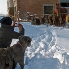 PASSEGGIATA NELLA NEVE / WALKING ON SNOW - 3