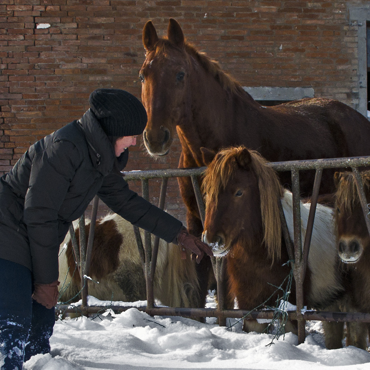 PASSEGGIATA NELLA NEVE / WALKING ON SNOW - 5