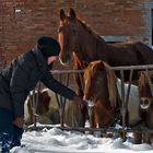 PASSEGGIATA NELLA NEVE / WALKING ON SNOW - 5