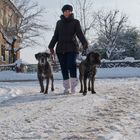 PASSEGGIATA NELLA NEVE / WALKING ON SNOW