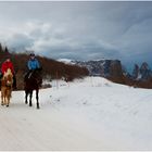 Passeggiata nell'Alpe di Siusi