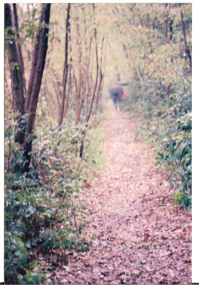 passeggiata romantica al ticino di gabriella maggioni 