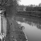 Passeggiata sul Tevere