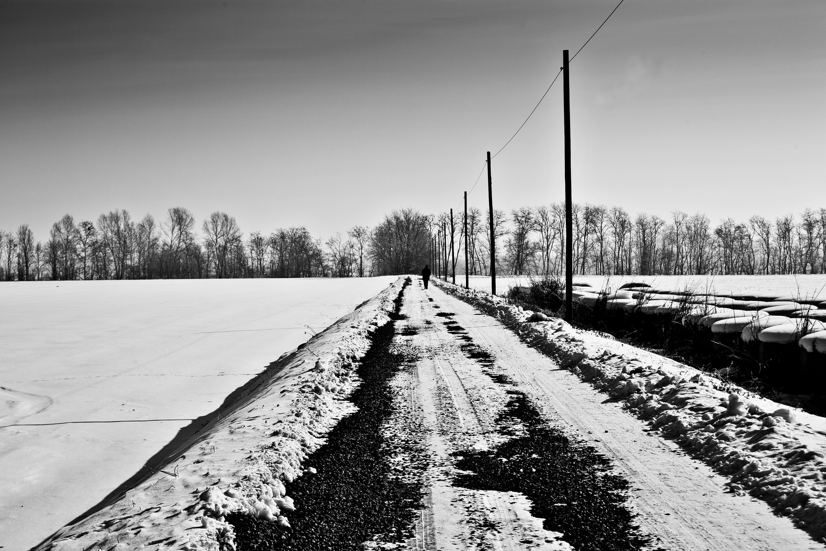 Passeggiata sulla neve 3