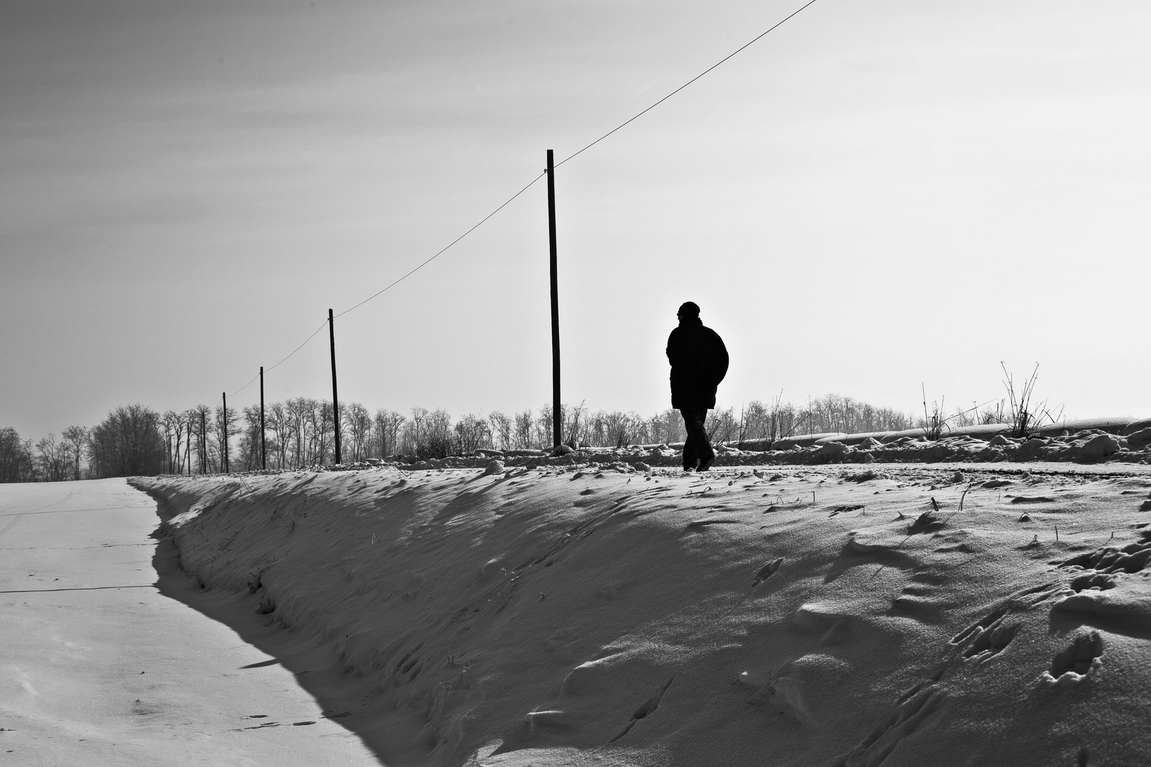 Passeggiata sulla neve