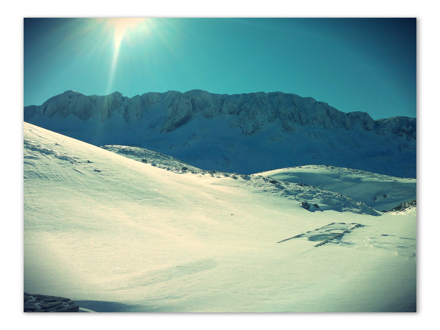 Passeggiata tra boschi innevati 2