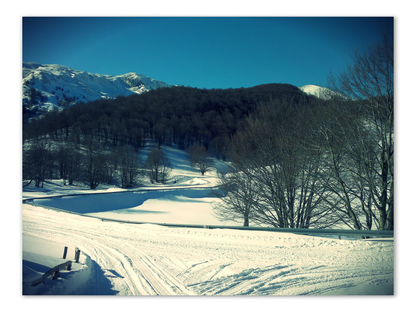 Passeggiata tra boschi innevati 3