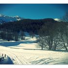 Passeggiata tra boschi innevati 3