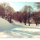 Passeggiata tra boschi innevati