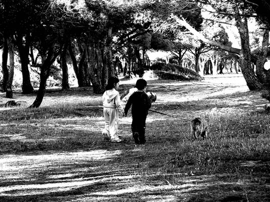 Passeggiata verso il futuro...