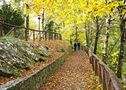 Passeggiata....nel silenzio von Alvaro Monnetti 