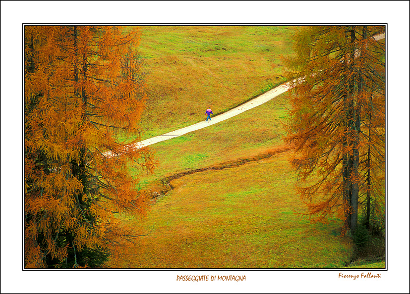 Passeggiate di montagna...