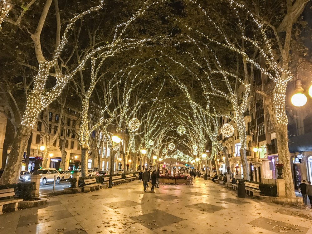 Passeig del Born