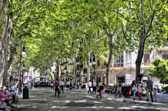 Passeig del Born