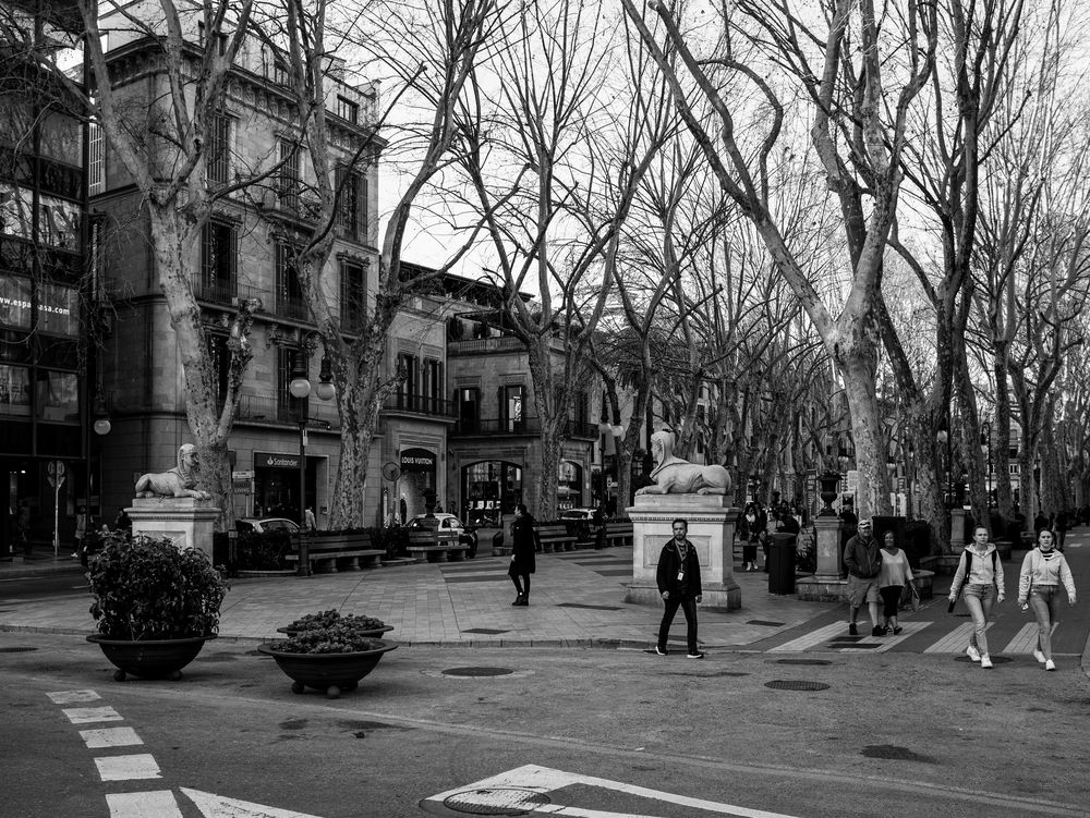 Passeig del Born