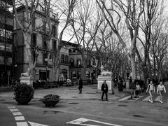 Passeig del Born