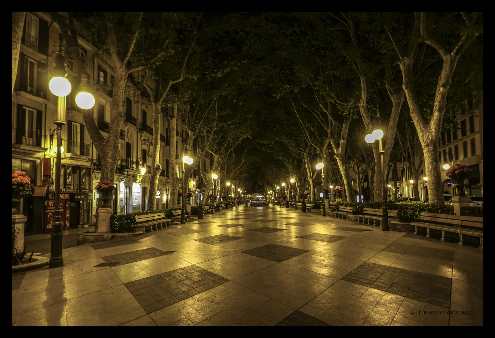 Passeig del Born