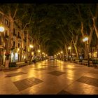 Passeig del Born