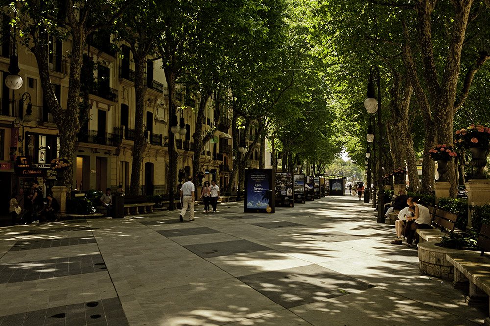 Passeig des Born