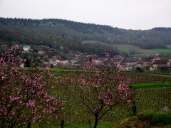 PASSENANS DERRIERE LES PECHERS