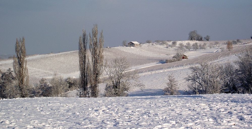 PASSENANS EN HIVER