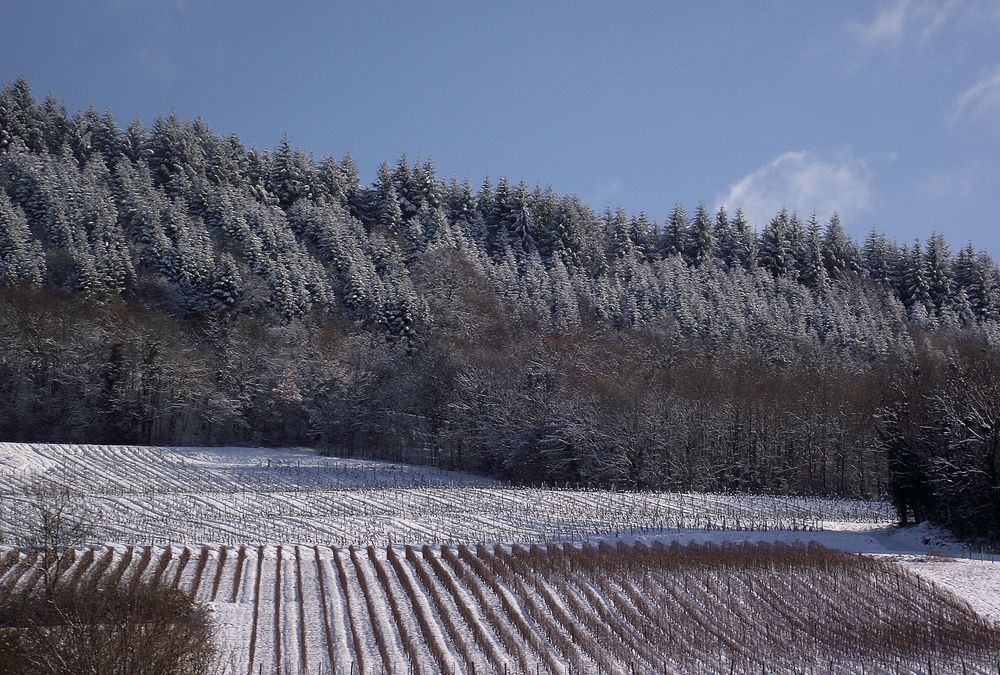 PASSENANS SOUS LA NEIGE ET LE FROID