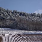 PASSENANS SOUS LA NEIGE ET LE FROID