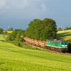 Passend zum aktuellen Regenwetter...