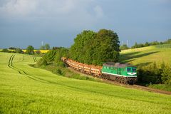 Passend zum aktuellen Regenwetter...