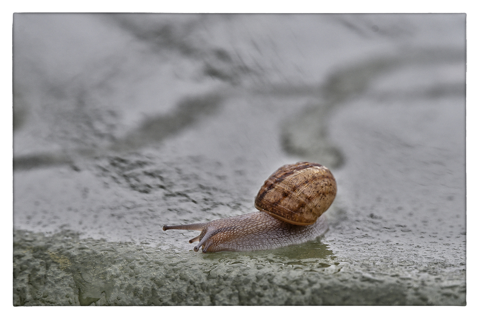 Passend zum aktuellen Wetter...