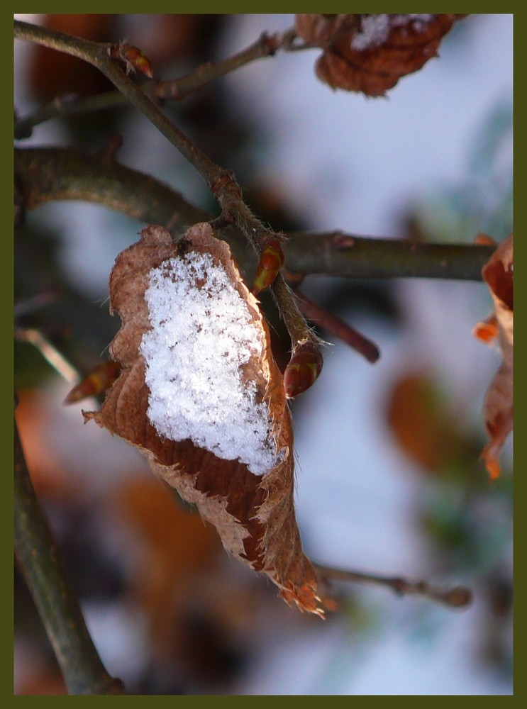 passend zum Sommer / zu DIESEM Sommer....