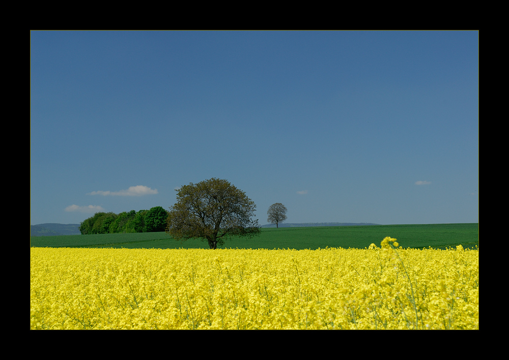 [ Passend zur Jahreszeit... ]