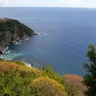 Passengiando lungo i sentieri delle "Cinque Terre" ........ Corniglia.