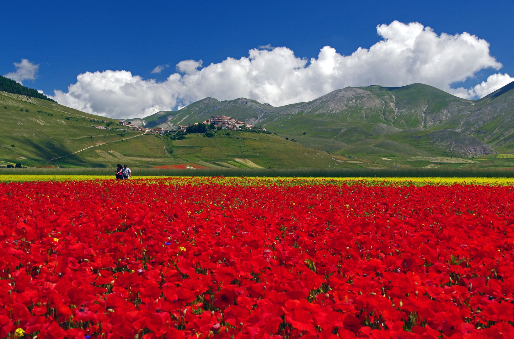 passer au rouge.....