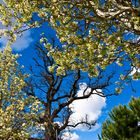 Passer de l’hiver au printemps