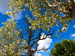 Passer de l’hiver au printemps